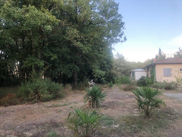 Aire camping-car  Muret (31600) - Photo 2